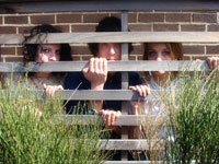 fence